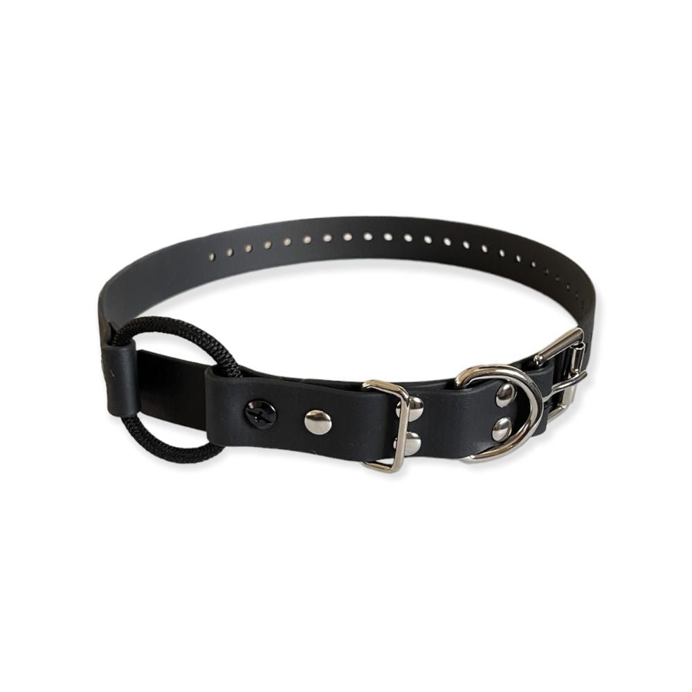 E-Collar Technologies-E-Collar Technologies - 1" Width Bungee Collar