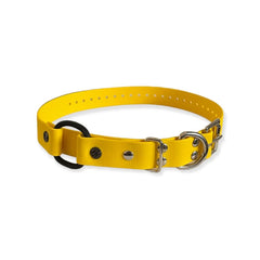 E-Collar Technologies-E-Collar Technologies - 1" Width Bungee Collar