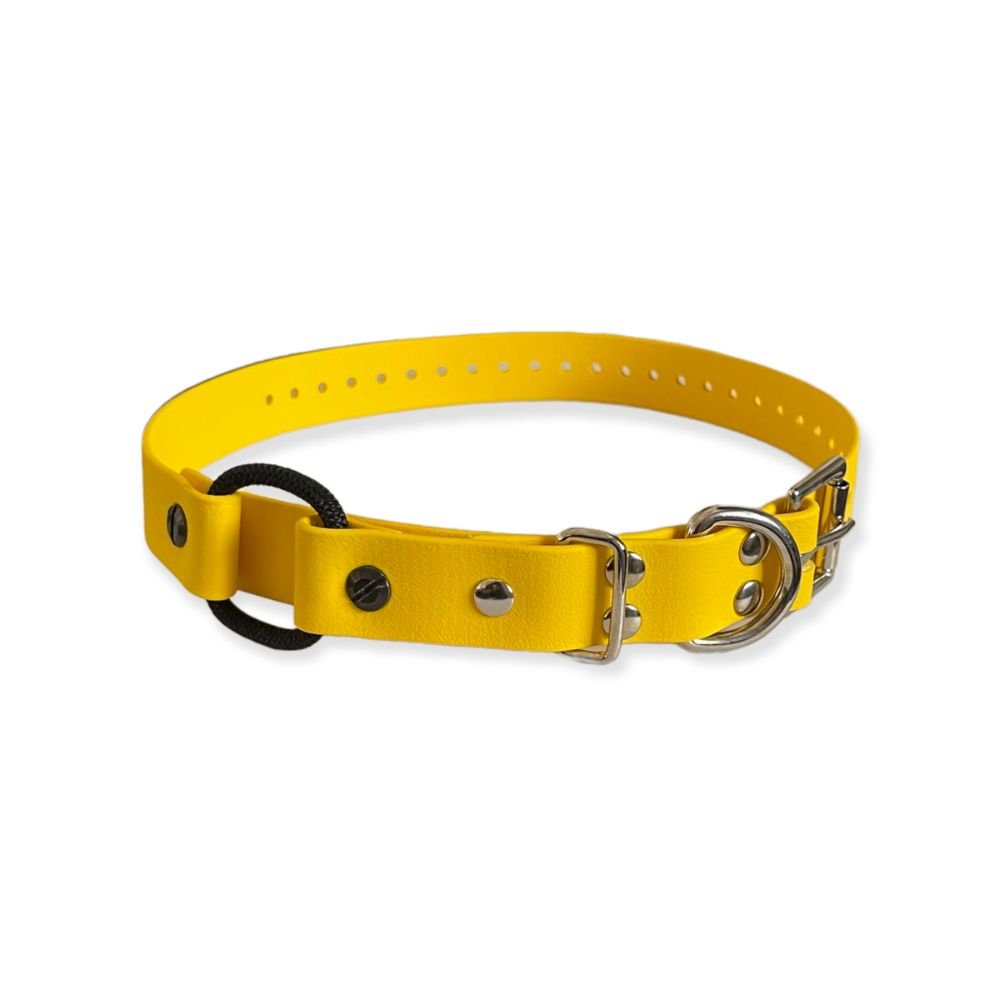 E-Collar Technologies-E-Collar Technologies - 1" Width Bungee Collar