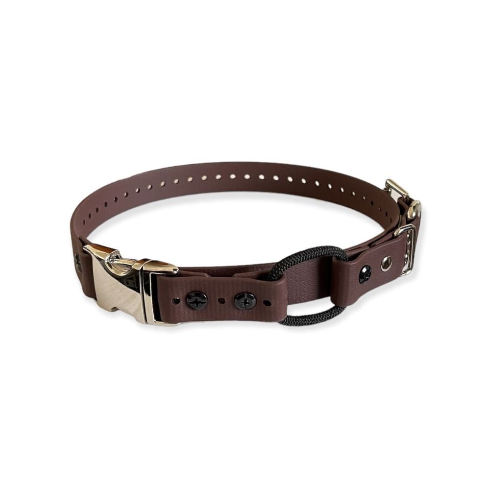 E-Collar Technologies-E-Collar Technologies - 1" Width Quick Snap Bungee Collar