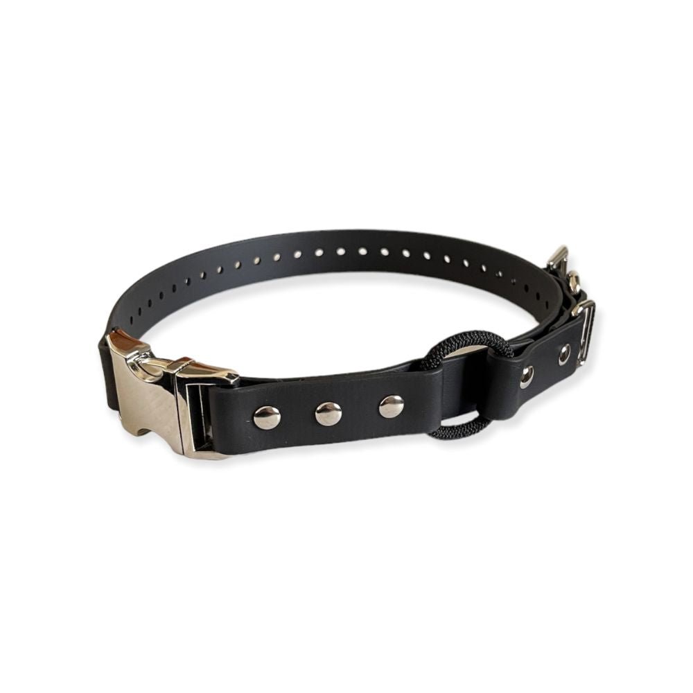 E-Collar Technologies-E-Collar Technologies - 1" Width Quick Snap Bungee Collar
