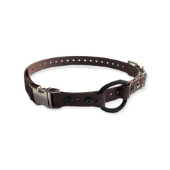 E-Collar Technologies-E-Collar Technologies - 3/4" Width Quick Snap Bungee Collar
