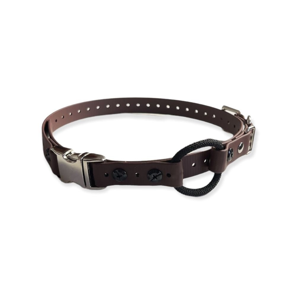 E-Collar Technologies-E-Collar Technologies - 3/4" Width Quick Snap Bungee Collar