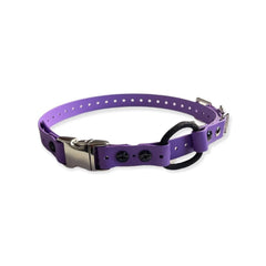 E-Collar Technologies-E-Collar Technologies - 3/4" Width Quick Snap Bungee Collar
