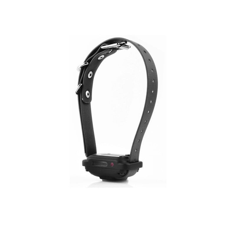 E-Collar Technologies - PG-300-RX Receiver - Additional Collar-zoom-