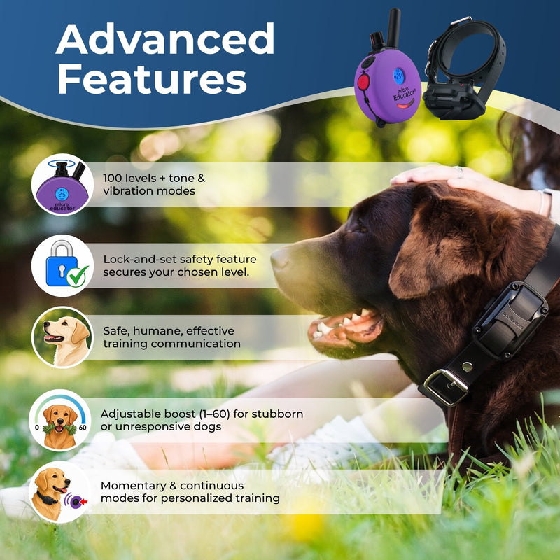 Micro Educator ME-300 Remote Dog Training Collar Purple by E-Collar Technologies-zoom-