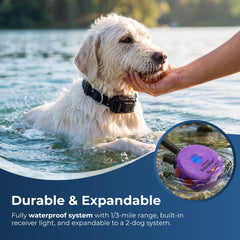 E-Collar Technologies-Micro Educator ME-302 2T Remote Dog Training Collar by E-Collar Technologies