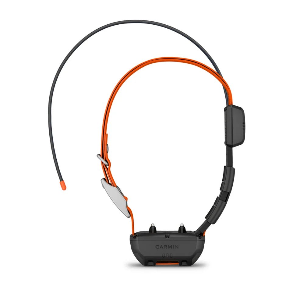 Garmin-Garmin - 02447-20 Alpha TT 25 Dog Tracking and Training Collar - Additional Collar