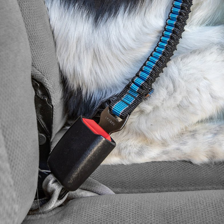 Kurgo - Direct to Seatbelt Bungee Tether-zoom-