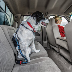 Kurgo-Kurgo - Direct to Seatbelt Bungee Tether