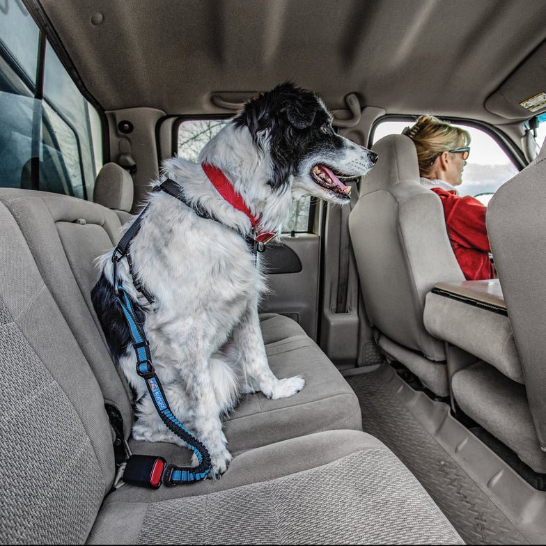 Kurgo-Kurgo - Direct to Seatbelt Bungee Tether