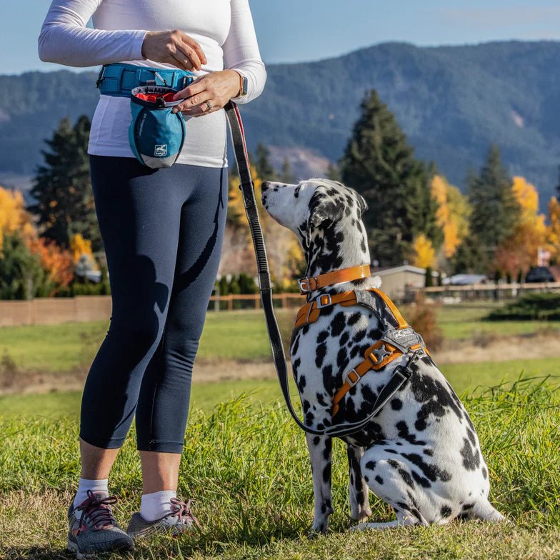 Kurgo-Kurgo - Go Stuff It Treat Bag