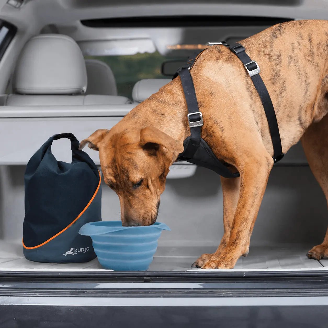 Kurgo-Kurgo - Kibble Carrier