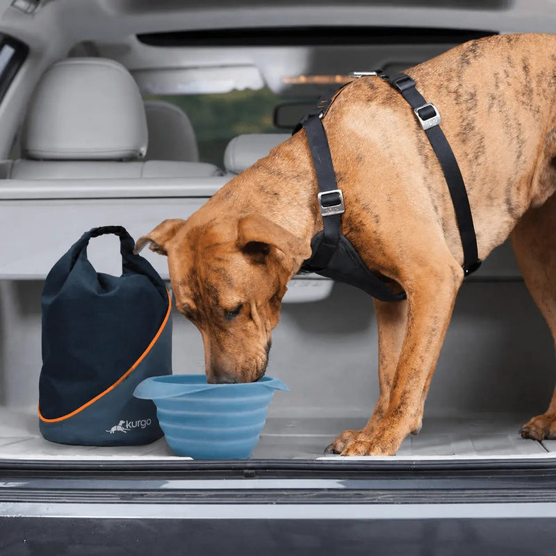 Kurgo - Kibble Carrier-zoom-
