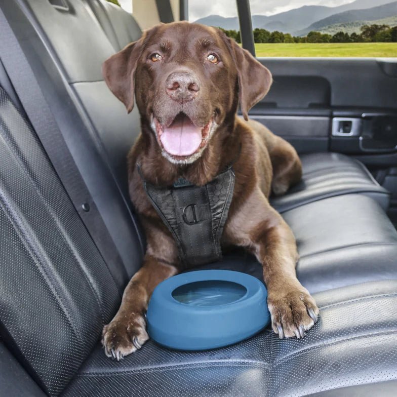 Kurgo-Kurgo - Splash Free Wander Dog Water Bowl
