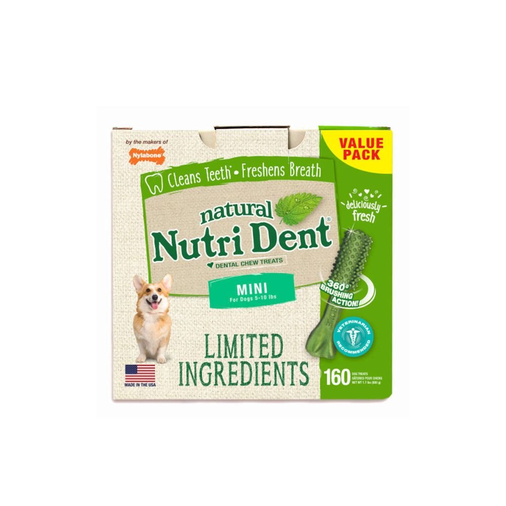 Nylabone-Nylabone - Nutri Dent Limited Ingredient Dental Chews Fresh Breath - Mini 160 Count - Dog Treats