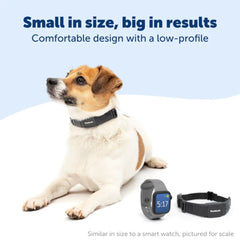 PetSafe-PetSafe NanoBark™ Collar - No Bark Collar
