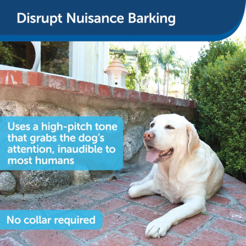 PetSafe - PBC00-12788 - Elite Outdoor Bark Control-zoom-