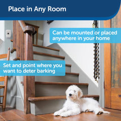 PetSafe-PetSafe - PBC00-15266 - Indoor Bark Control