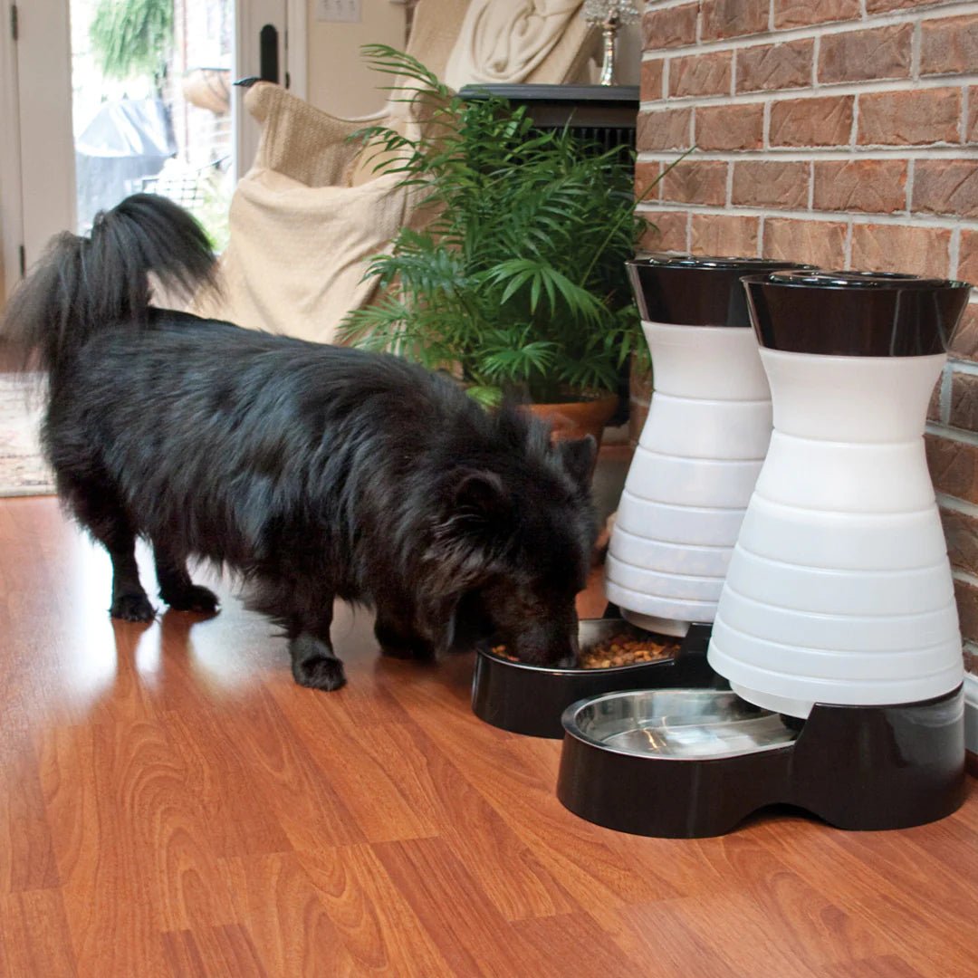 PetSafe-PetSafe - PFD17-11854 Healthy Pet Water Station™ - Small