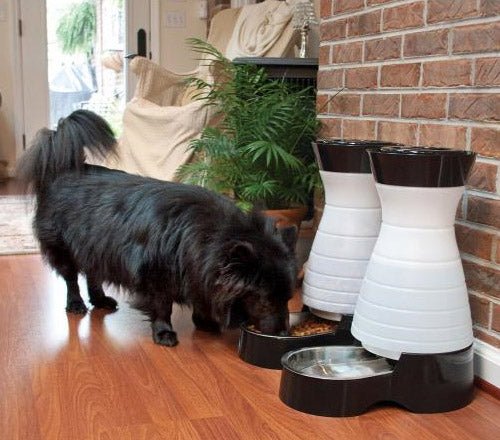 PetSafe-PetSafe - PFD17-11856 Healthy Pet Water Station - Large