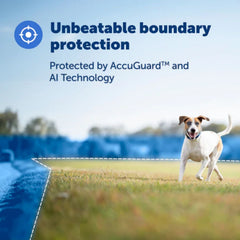 PetSafe-PetSafe - PIF00-17804 - Guardian® GPS + Tracking Dog Fence Collar - E-Fence