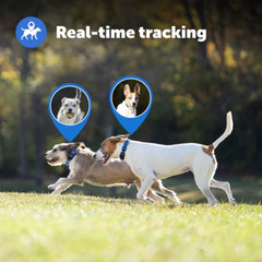 PetSafe-PetSafe - PIF00-17804 - Guardian® GPS + Tracking Dog Fence Collar - E-Fence
