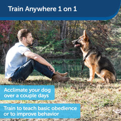 PetSafe-PetSafe - PUPT-100-19 - Collarless Ultrasonic Remote Trainer