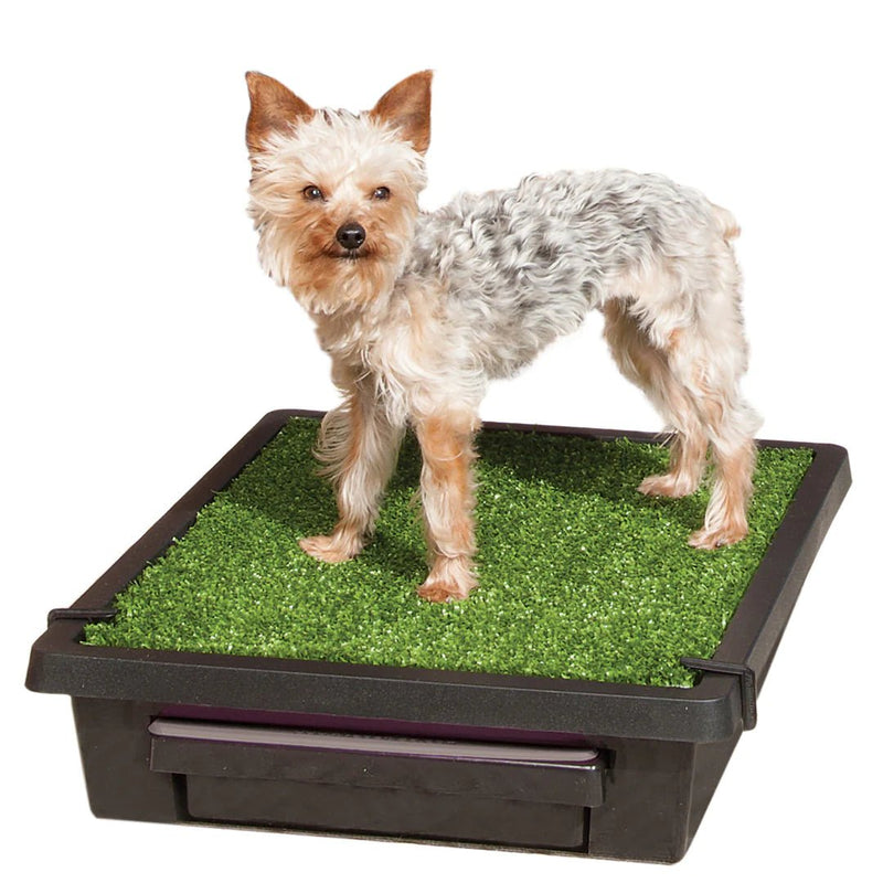 PetSafe - PWM00-14499 Pet Loo® Portable Pet Toilet - Large-zoom-
