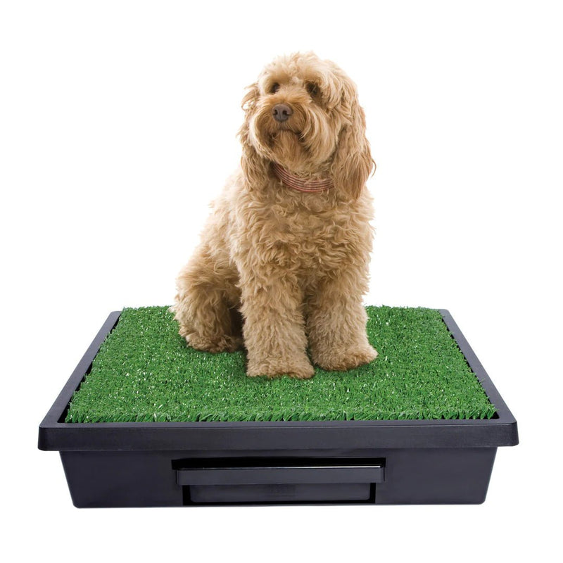 PetSafe - PWM00-14499 Pet Loo® Portable Pet Toilet - Large-zoom-