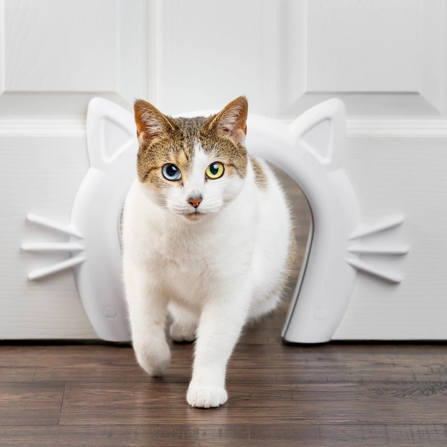 PetSafe-PetSafe - ZPA19-17227 Cat Corridor Interior Pet Door