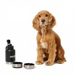 PetsTEK-PetsTek Portable Dog Water Bottle - 3 in 1 Insulated Stainless Steel Travel Bowl and Dispenser with Leak Proof Magnetic Lid