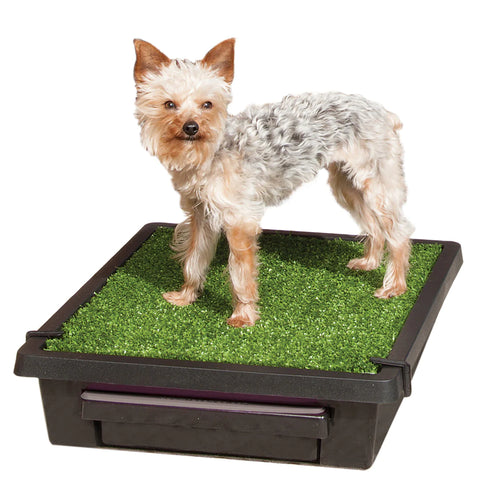 PetSafe - PWM00-14499 Pet Loo® Portable Pet Toilet - Large