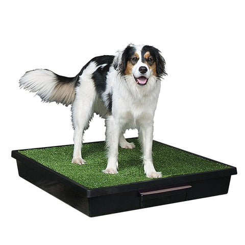 PetSafe - PWM00-14497 Pet Loo® Portable Pet Toilet - Small