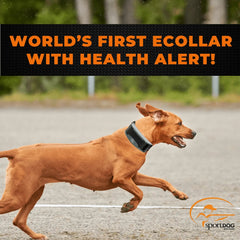 SportDOG-SportDog - FS-825 - FieldSentinel 825 - Remote Training Collar + Health Alert