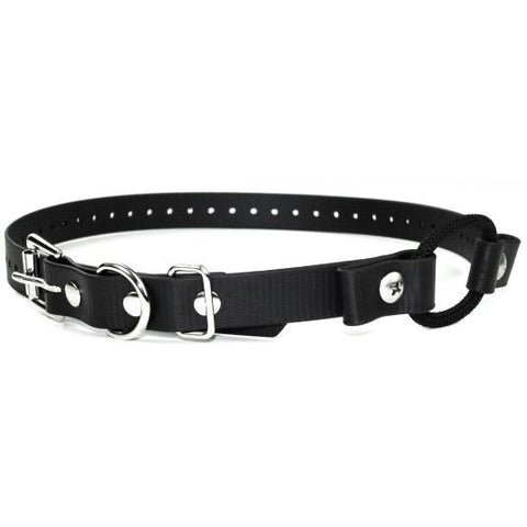 E-Collar Technologies 3/4" x 33" Black Bungee Collar Strap