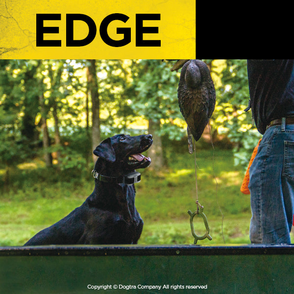 Dogtra - EDGE - 1 Mile - Remote Training Collar-zoom-