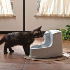 Small Black Cat Drinking from Drinkwell PWW00-14402 Mini Pet Fountain