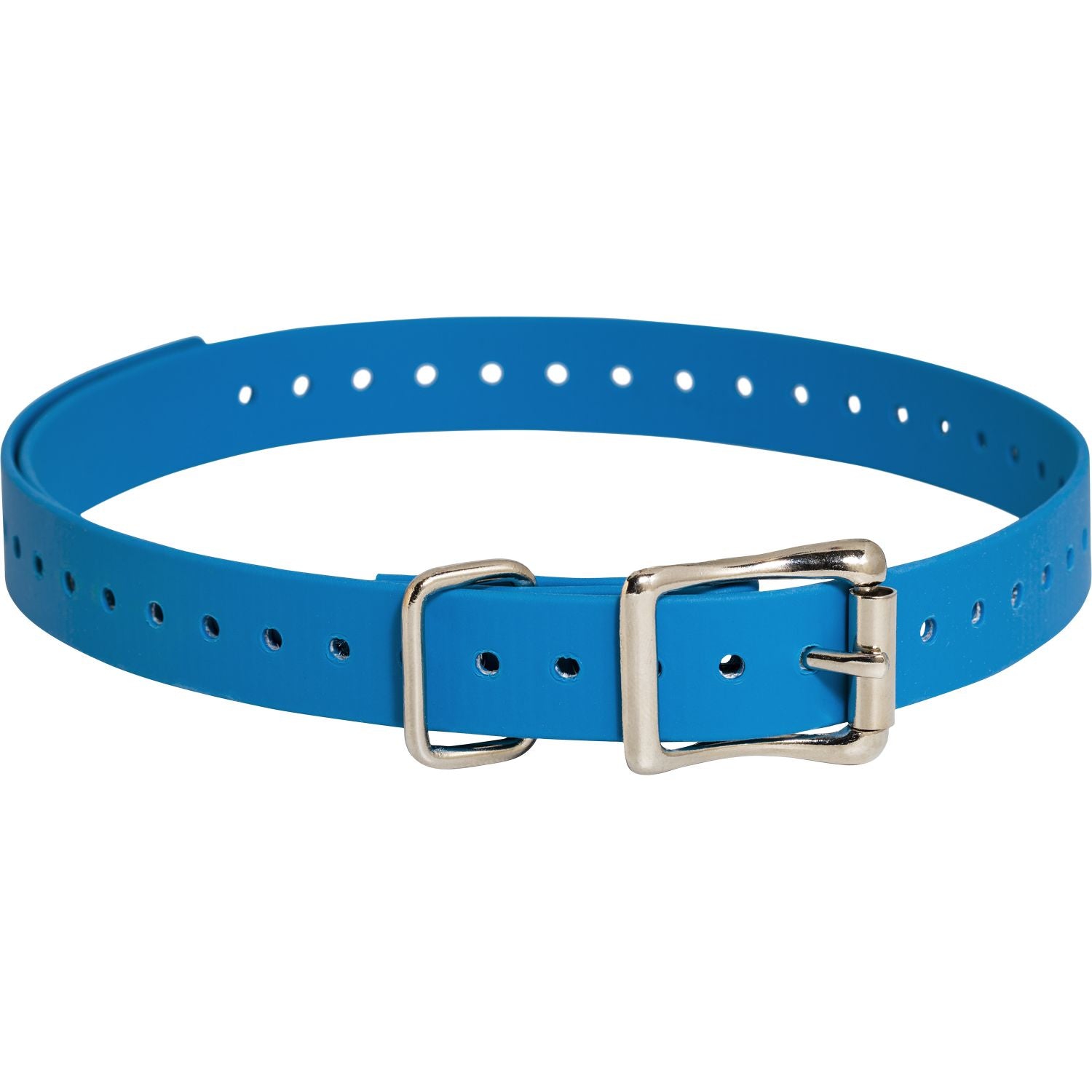 SportDog Replacement Strap 3/4 Inch in Blue