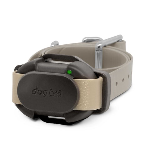 Dogtra CUE Remote Training Collar Additional Receiver in Black