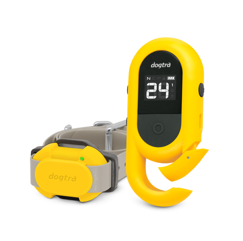 Dogtra CUE Remote Training Collar Remote Transmitter and Receiver Collar in Yellow