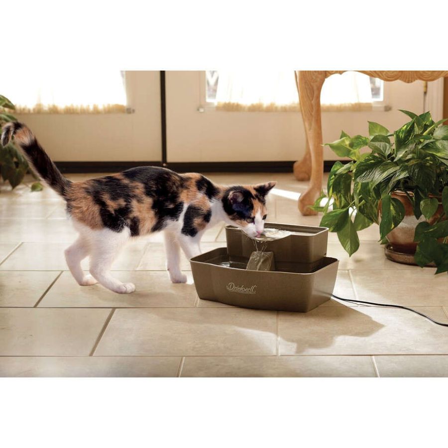 Calico Cat Drinking from Drinkwell PWW00-13708 Multi-Tier Pet Fountain