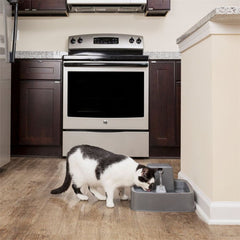 Cat Drinking from Drinkwell PWW00-16777 1-Gallon Pet Fountain
