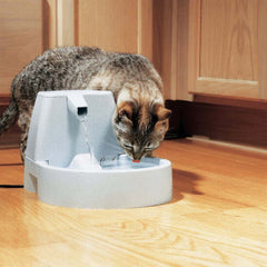 Cat Drinking from Drinkwell PWW00-13704 Original Fountain