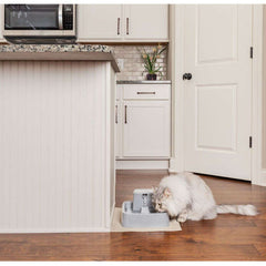Cat Drinking from Drinkwell PWW00-16790 ½ Gallon Pet Fountain