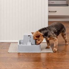 Dog Drinking from Drinkwell PWW00-16790 ½ Gallon Pet Fountain