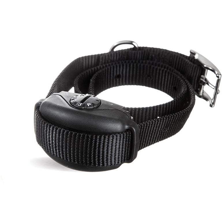 Dogwatch bark hot sale collar