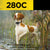 Dog Wearing Dogtra 280C Remote Training Collar