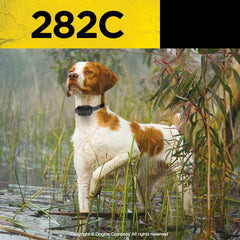Dog Wearing Dogtra 282C Remote Training Collar