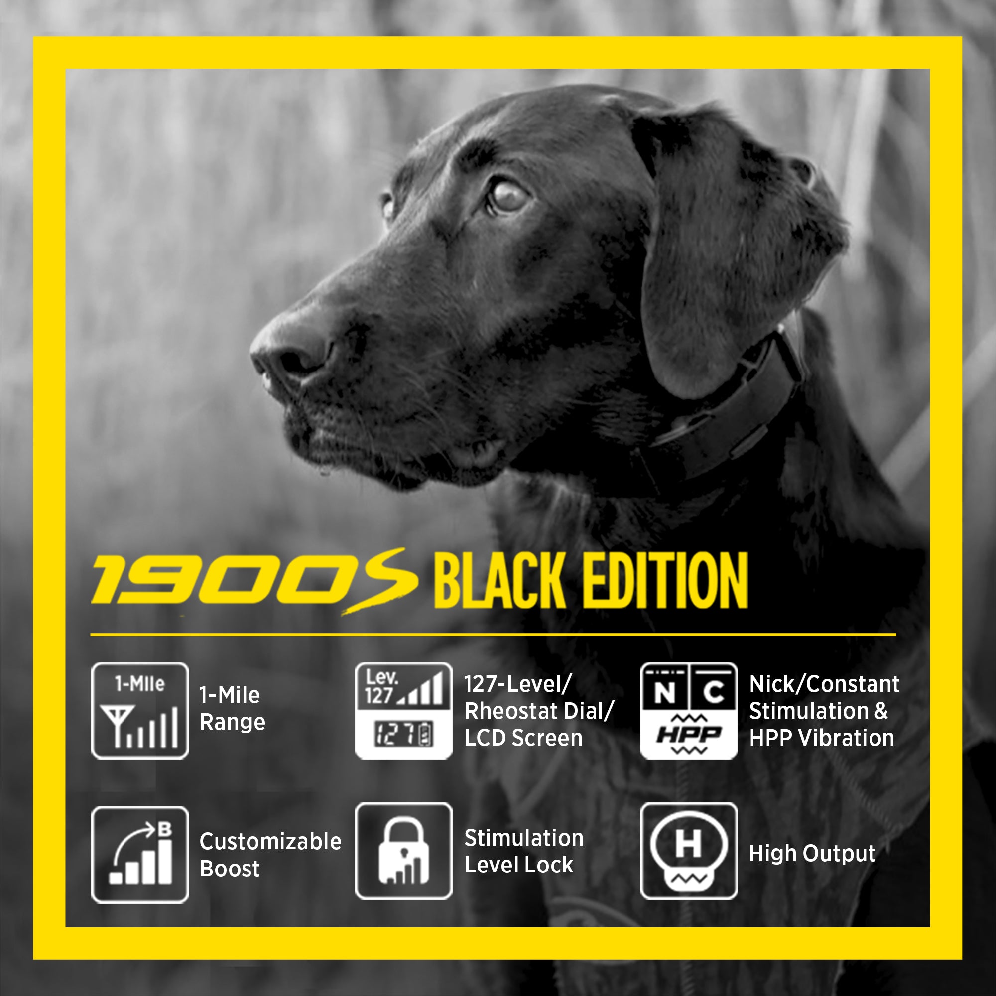 Dogtra 1900S Remote Training Collar Black Edition Features Icon